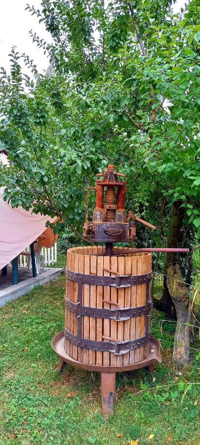 Terrebio Villa Spresiano ภายนอก รูปภาพ